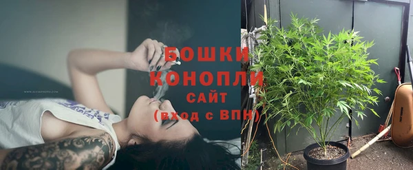 PSILOCYBIN Слюдянка
